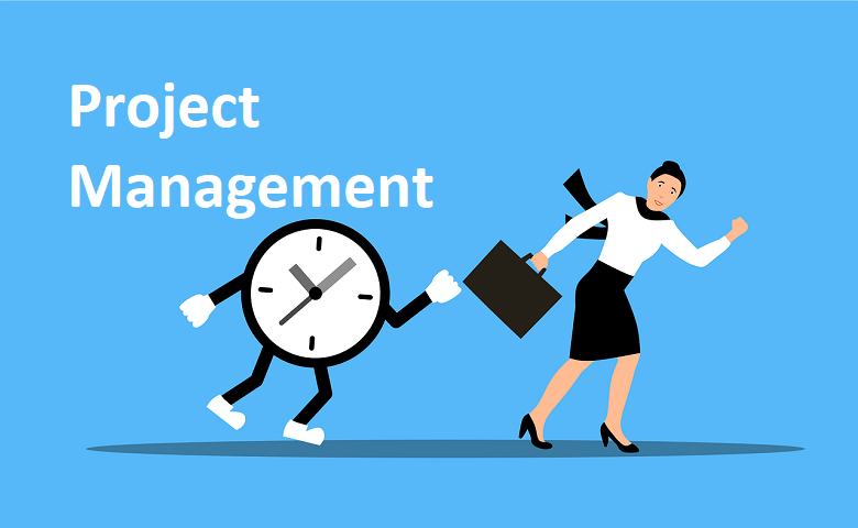 Project Management and large projects