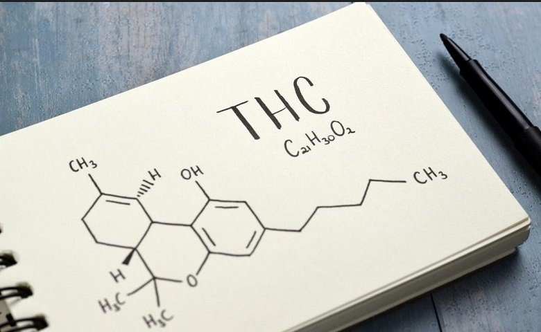 CBD vs THC