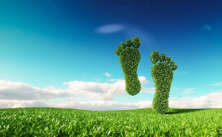 Ways You Can Reduce Your Carbon Footprint